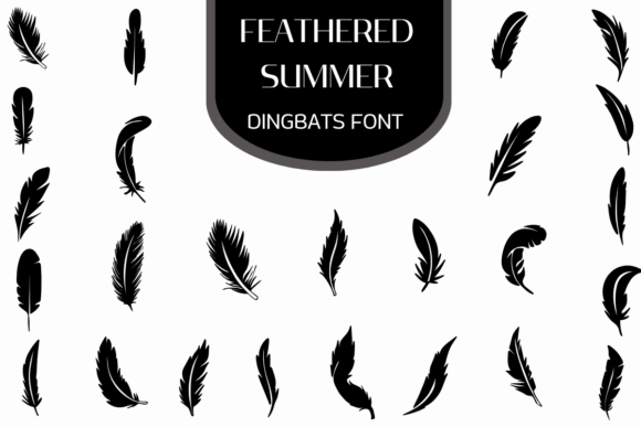 Feathered Summer Font for Editorial Design
